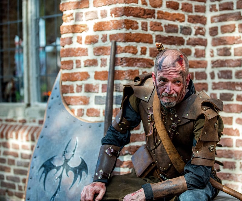 Medieval Knights